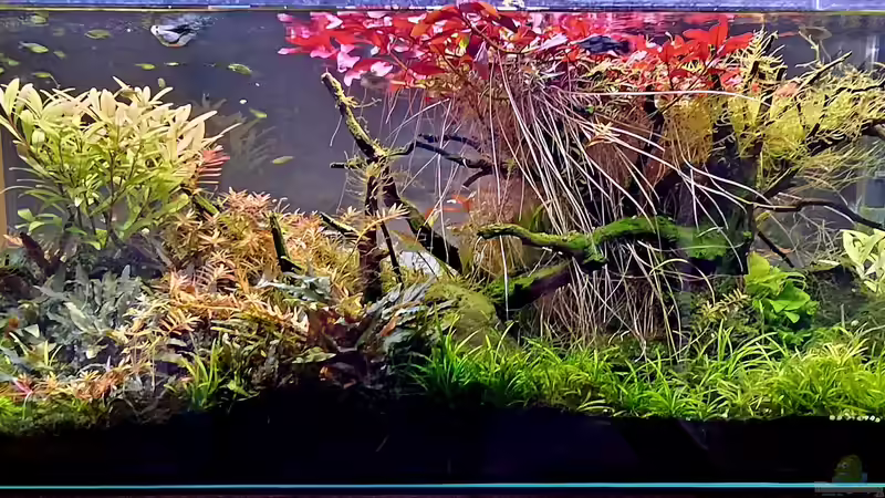 Die rote Insel von water13 (2)