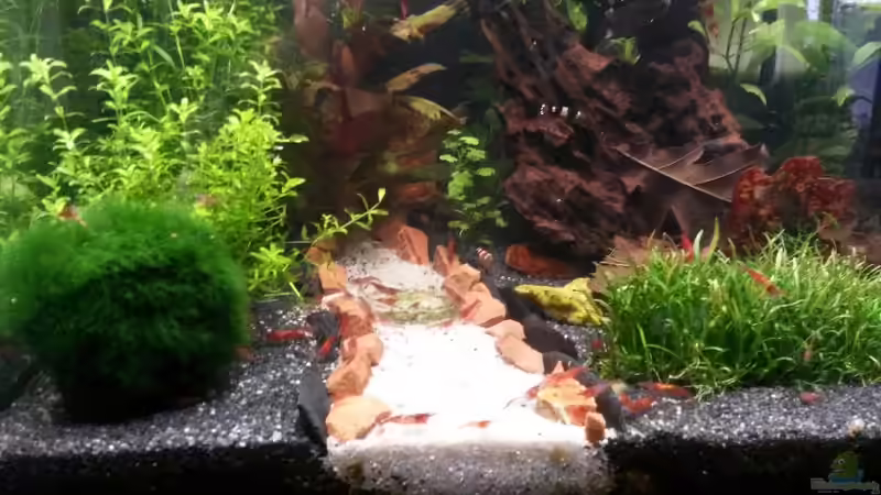 Die roten Steine habe ich aus einem Urlaub mitgebracht von Nano Sonny (11)