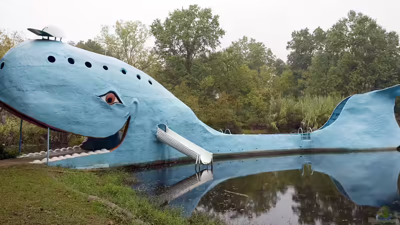 Die Route 66 für Tierliebhaber