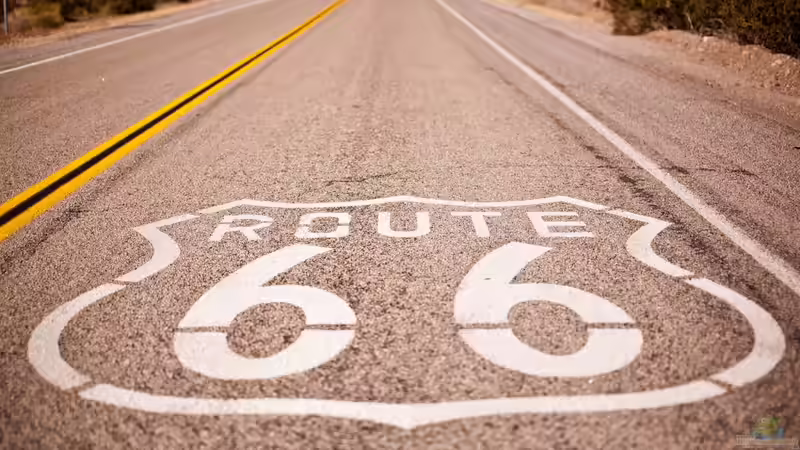 Die Route 66 für Tierliebhaber