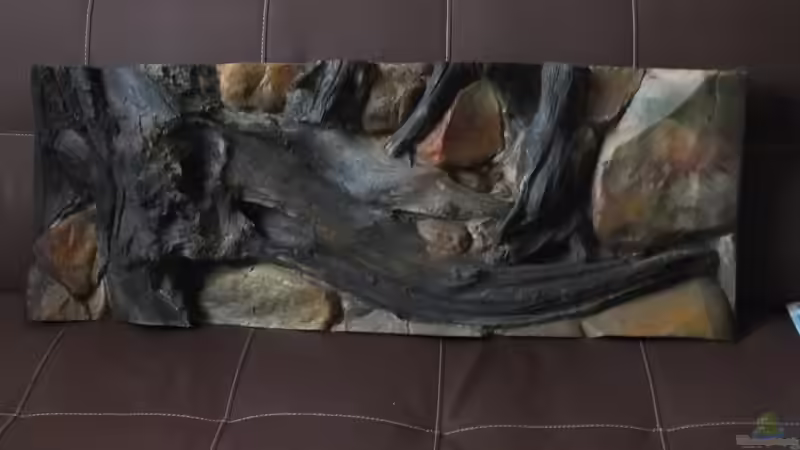 Die Rückwand  von Stony (4)