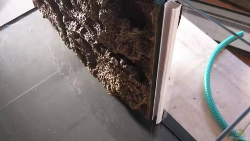 Die Rückwand eingeklebt und der linke Halter für den HMF von pekro (4)