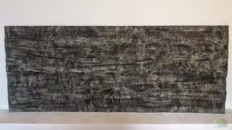 Die Rückwand ist angekommen. Nun kann ich mit dem Einrichten beginnen. von derFalk (23)