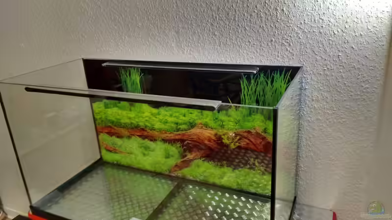 Die Rückwand ist dran. von Lily (3)