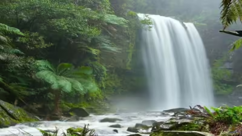 Die Rückwand ist ein Foto der Hopetown-falls in Australien. das Original ist ca. 7mal so groß wie hier abgebildet. In Copyshop auf Wetterfeste Plane drucken lassen, also wasserunempfindlich von Markus Thummerer (4)