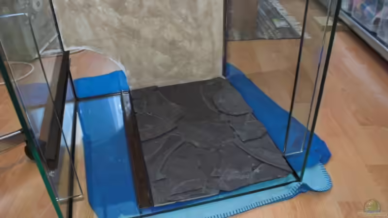 Die Rückwand mal probelhalber ins AQ gelegt. von Oxid (5)