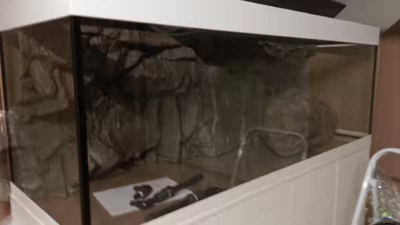 Die Rückwand sowie ein River Stone von Malawi-Zizou (2)