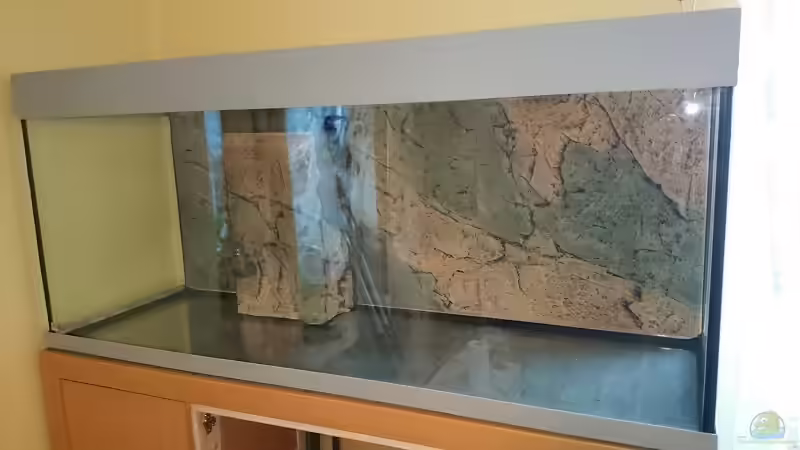 Die Rückwand von BTN  von Der Küstenjunge (20)