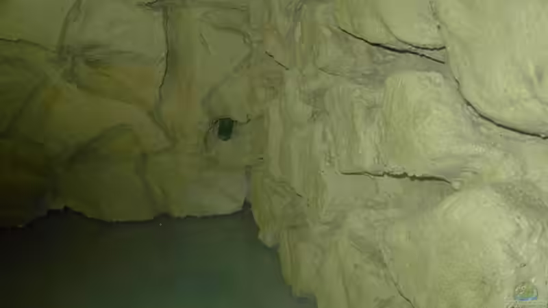 Die Rückwand von Enrico Pinkert (6)