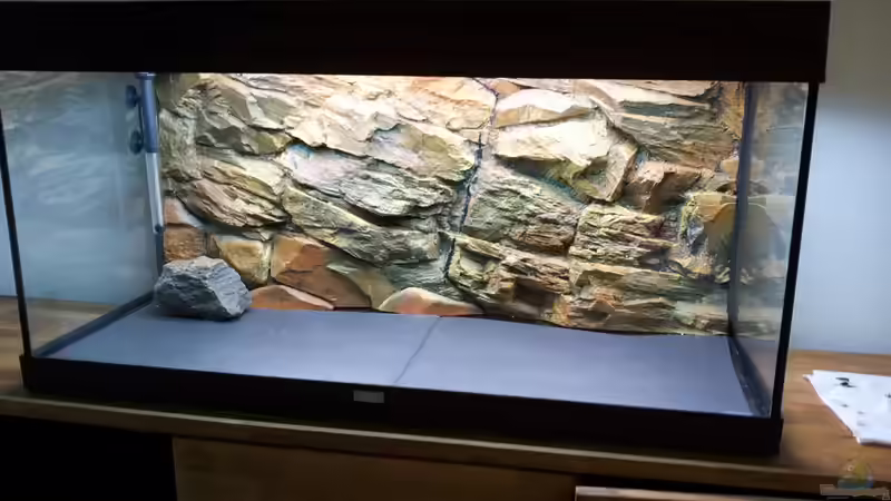 Die Rückwand von Martin N. (3)