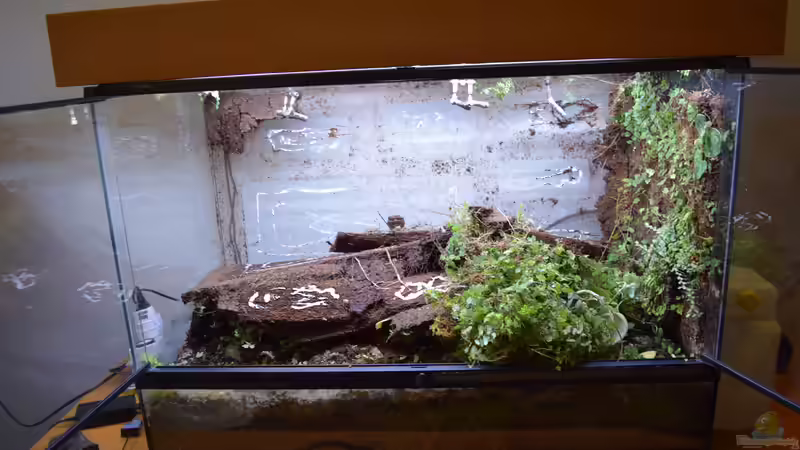 Die Rückwand wird entfernt von Junglist (3)