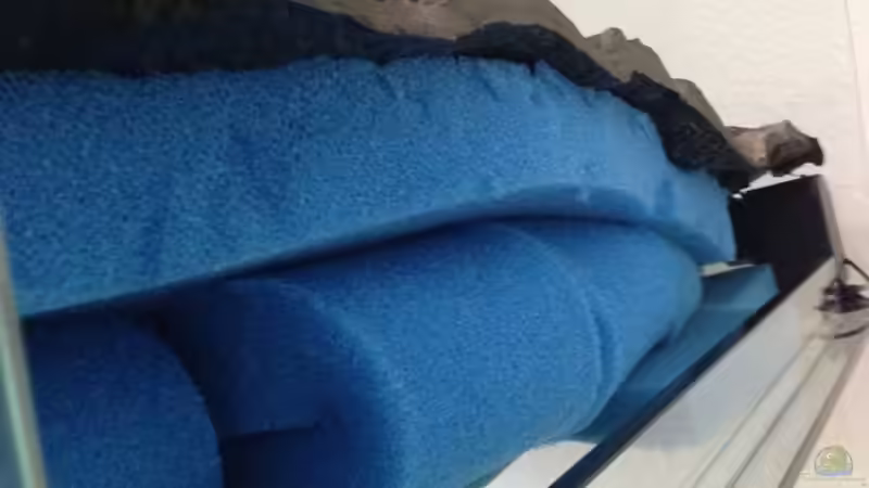 Die Rückwand wurde komplett mit Filtermatte ausgestopft von Chimme (25)