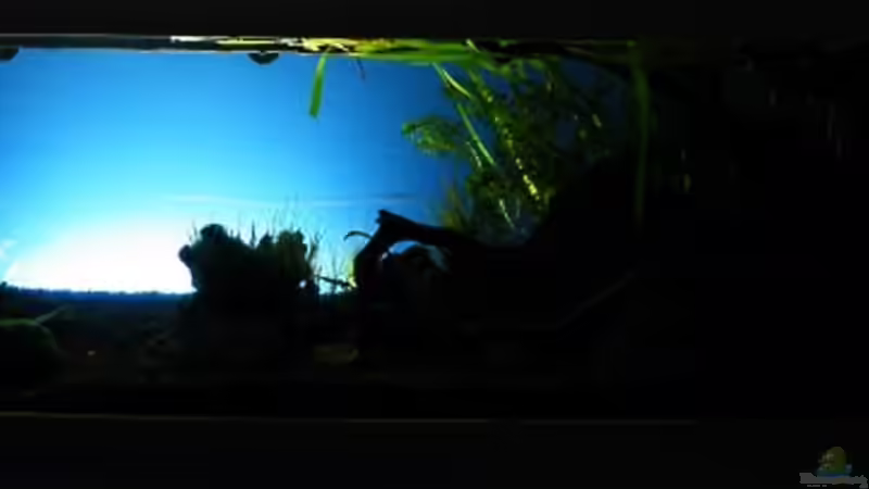 Die Rückwandbeleuchtung am späten Abend von bergfrau (38)