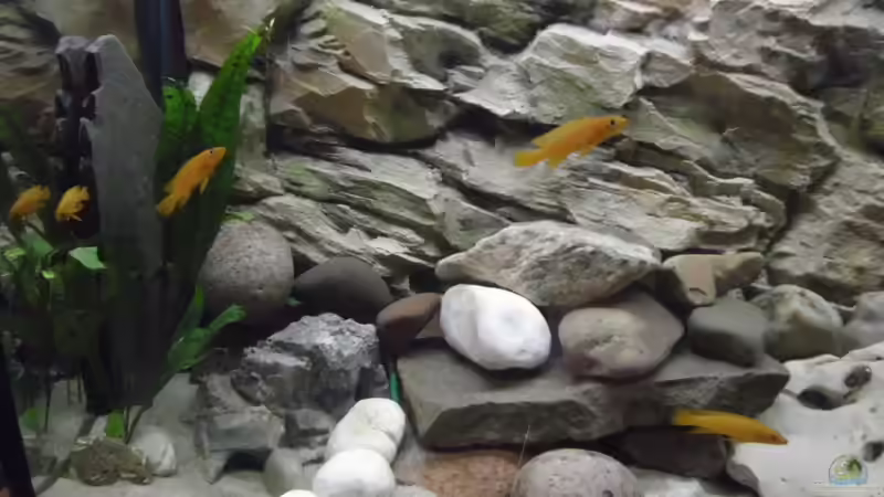 Die runden Steine wurden entfernt und durch andere ersetzt. von Angelheart (3)