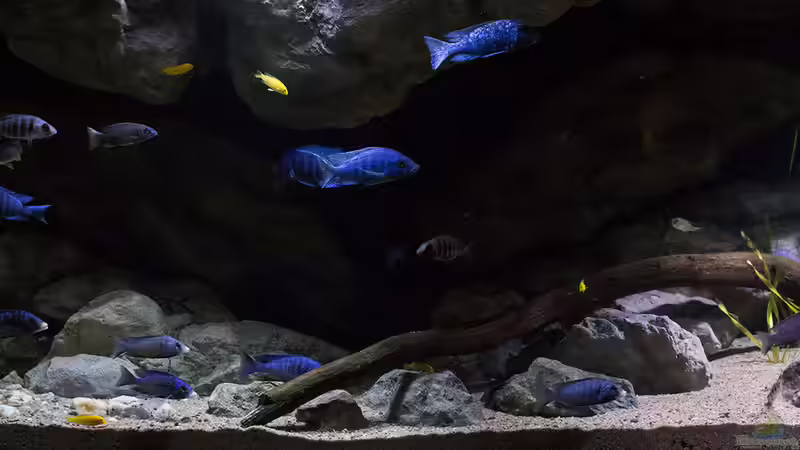 die RZ Module in der ??bergangszone .. von AjakAndi (36)