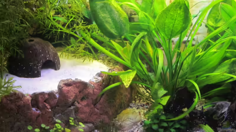 die Sandecke von tomsabi (3)