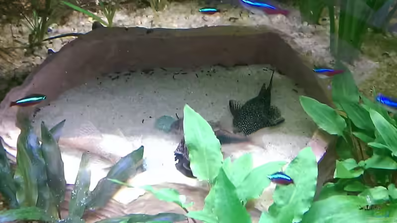 Die Sandkiste im Becken von Ottche (130)