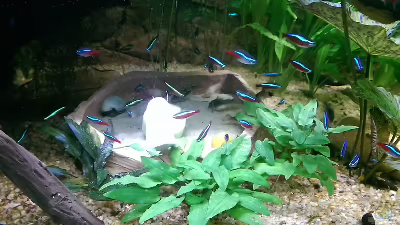 Die Sandkiste mit Apfelschnecken und Gurkenscheibe von Ottche (95)