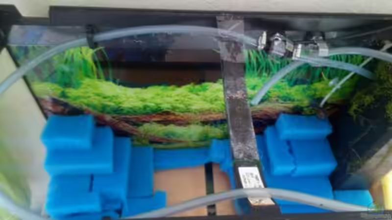 Die Schläuche für die Co² Versorgung von Scaper (4)