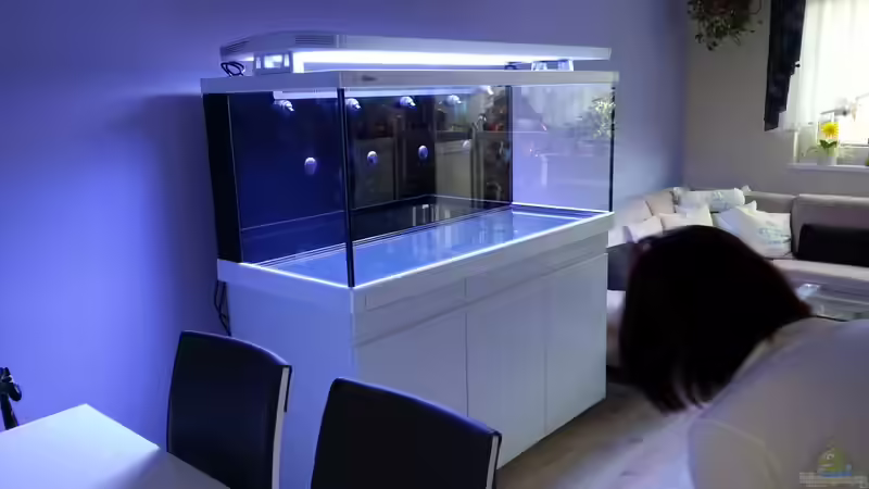 Die Seitenansicht ! und am 15 oder 16.Mai kommen die Steine ins Becken ! von urbi (8)