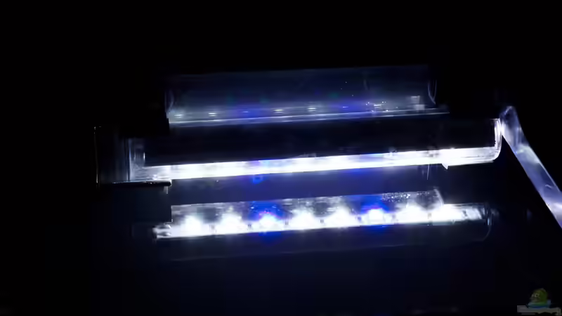Die sera Mondlichtröhre von aquariumwelt (13)