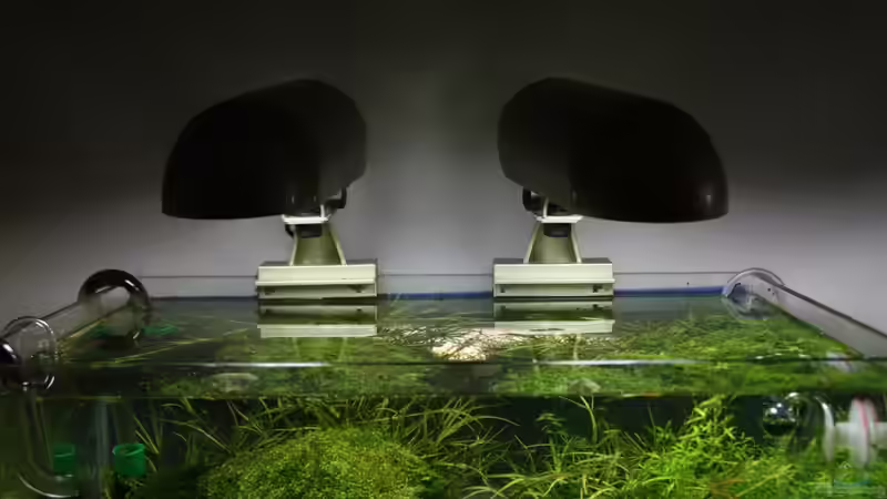 Die Solar Duo Boys von Arami Gurami (9)