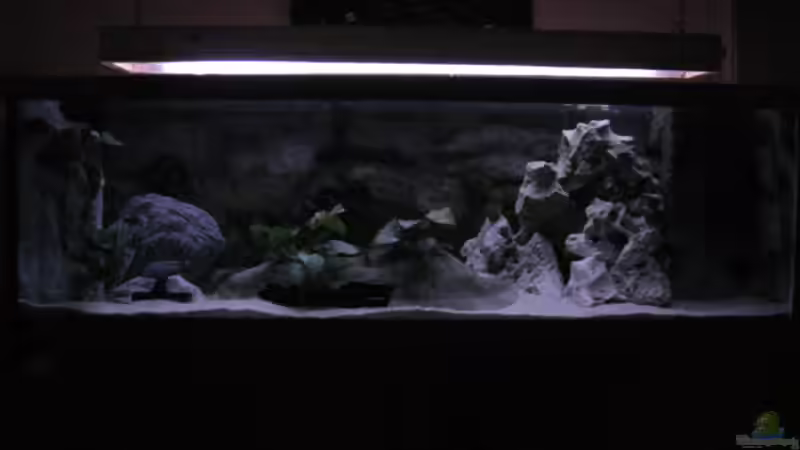 Die Sonne geht langsam auf von Armin Lange (3)