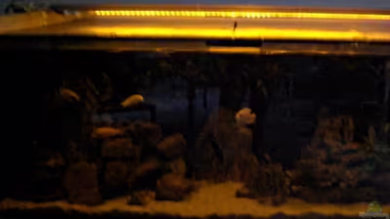 Die Sonne geht unter... von Schdäff (16)