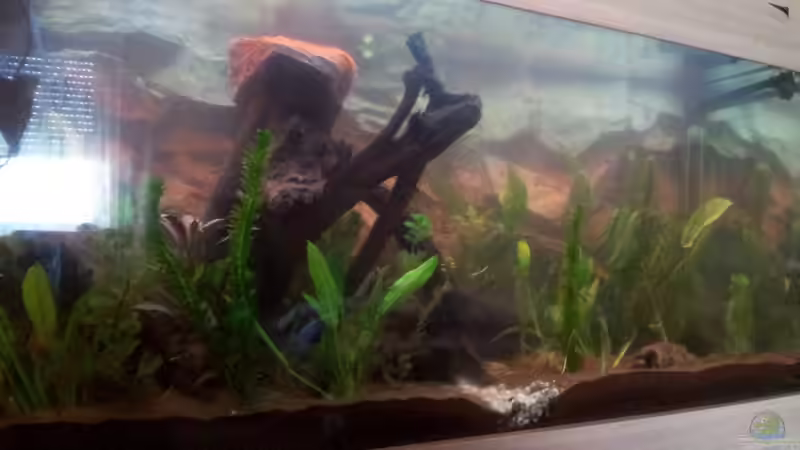 die sonne steht höher... von marciii1985 (17)