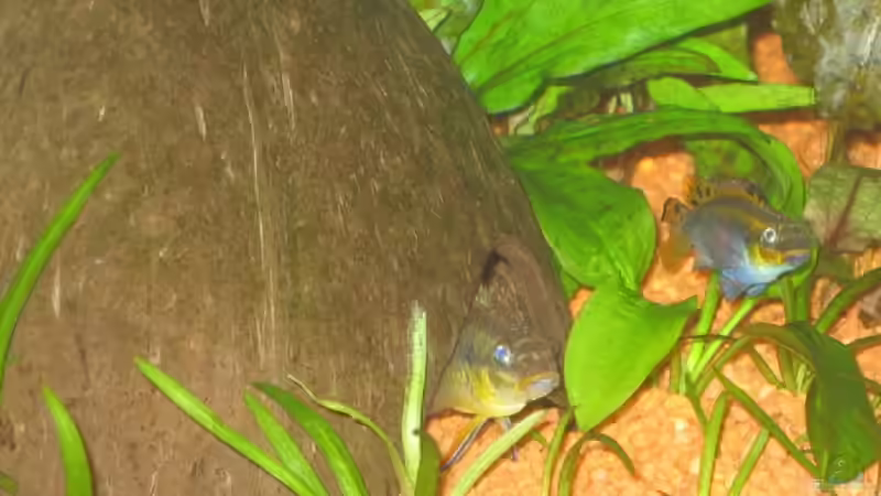 Die Stars bei Ihrer Hütte. von Ralf Franke (14)