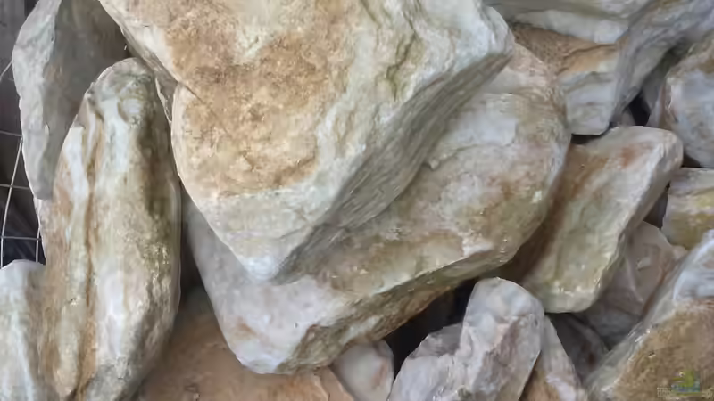 Die Steine, hier noch beim Händler von MikeM. (36)