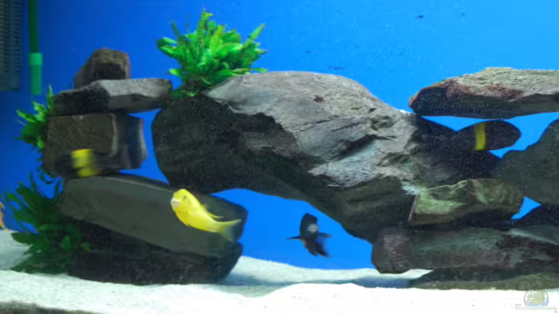 Die Steine von Andre Klettke (4)