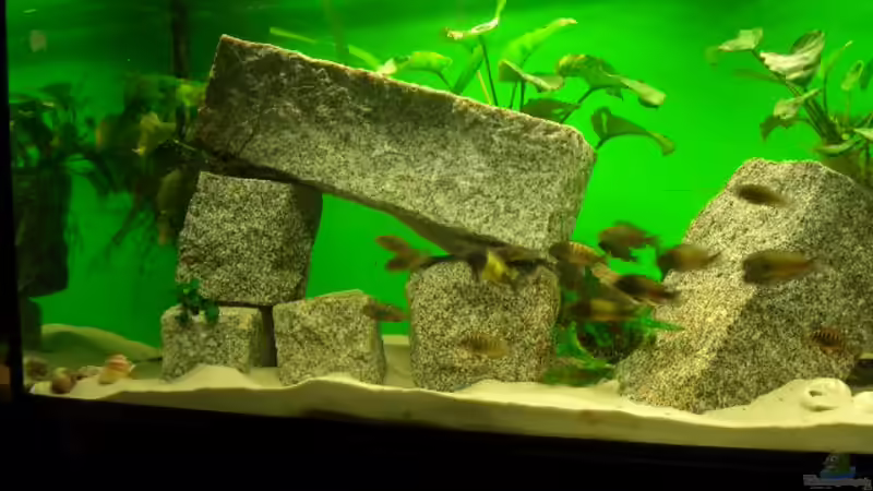 Die Steine von Manuel Oswald (4)