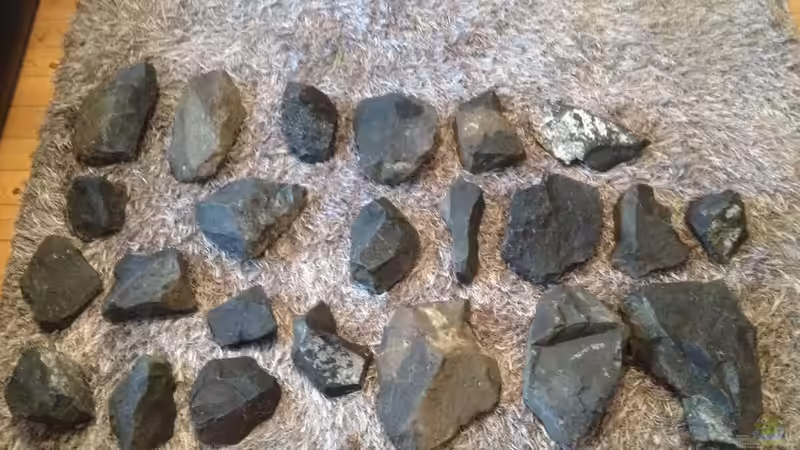 Die Steine von similis (25)