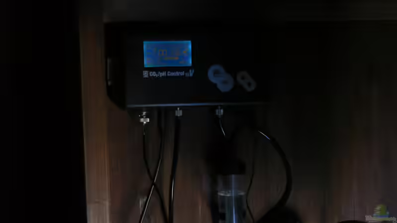 Die Steuerrung von Zapfenmanderl (32)