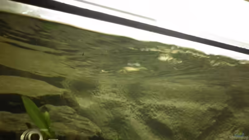 Die Stömungspumpe arbeitet wie erwartet... von Julien Preuß (42)