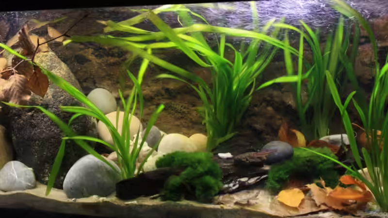 Die Strömung läßt das ganze dann schön bewegen und ein Diffuser wurde angebracht von Florian Bandhauer (8)