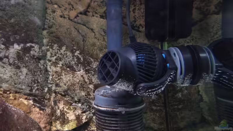 Die Strömungspumpe von aquariumwelt (18)