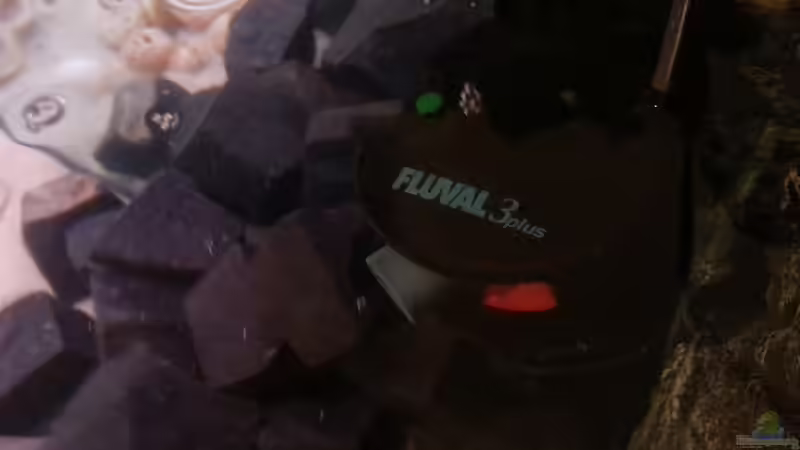 Die Strömungspumpe von Daniel Kastner (15)