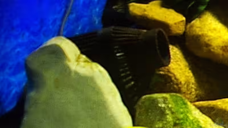 Die Strömungspumpe von Hr.Lampe (22)