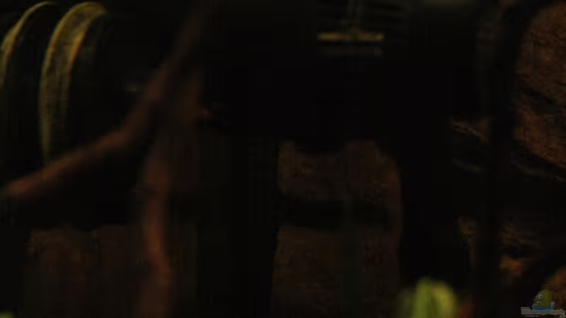 Die Strömungspumpen 2 Stück an der Zahl !!! von Florian Bandhauer (52)