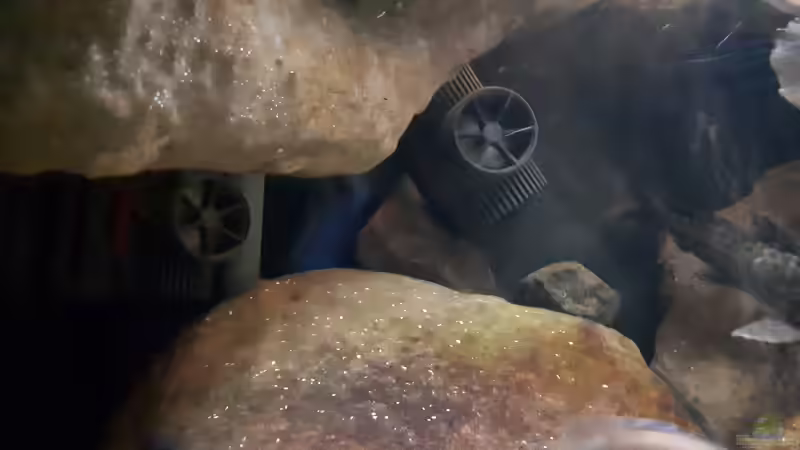 die Strömungspumpen von Miketsch (25)