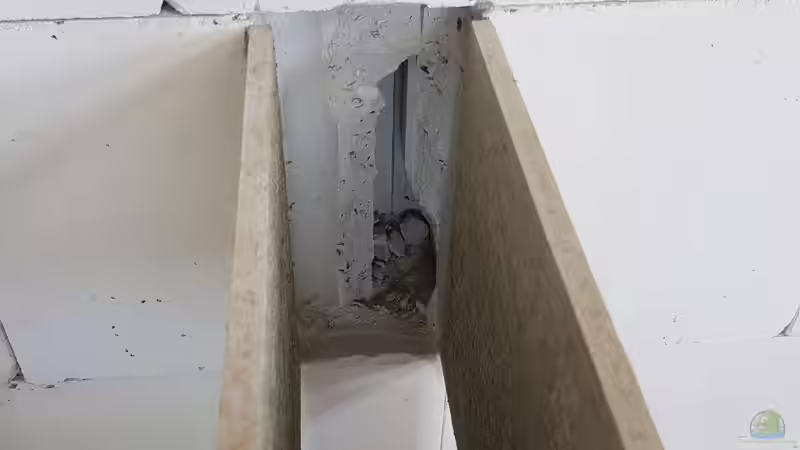 Die Stützen sind oben mit Ringankern an der rückwärtigen Wand befestigt, damit sie nicht zur Seite umkippen können von Amazonasbecken.eu (5)