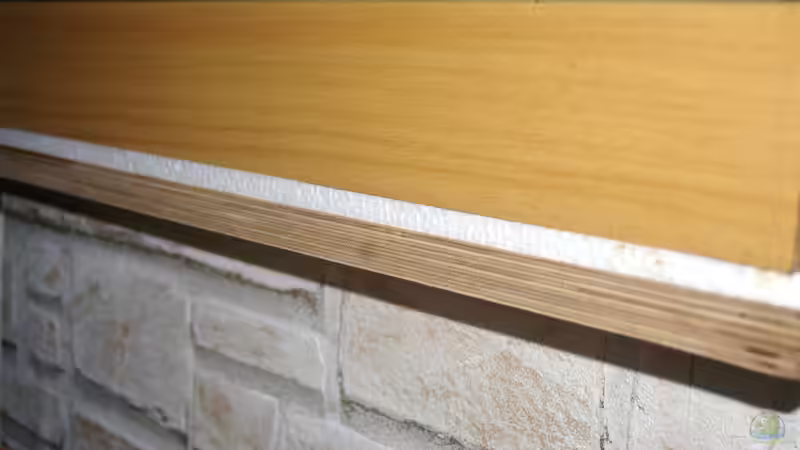 Die Styroporplattee zwischen Tisch und Becken von Hr.Lampe (24)