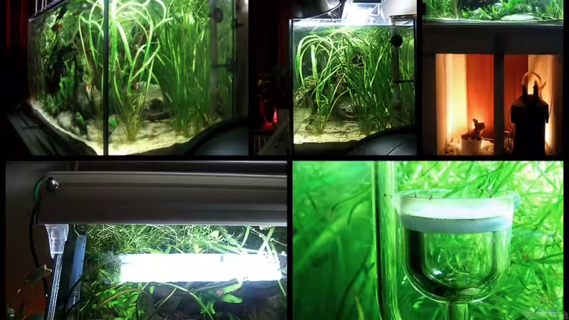 Die Technik, der Unterbau und weitere Ansichten von Pete (10)