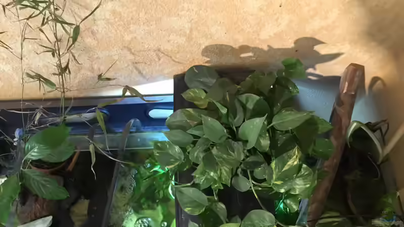 Die Technik von oben gesamt: von links Strömungsdüse, Lochrohr, Mitte: Beleuchtungselement, von Reneè Thissen (5)