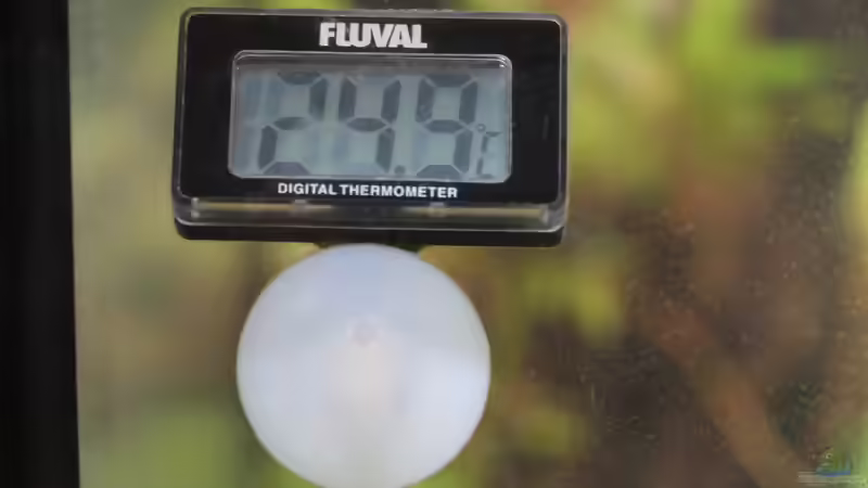 Die Temperatur Anzeige von kielerteam (6)