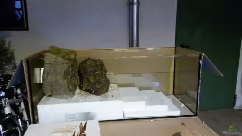 Die Terrassen habe ich nochmals erhöht,  um Gefälle zu schaffen. von Markaroni (50)