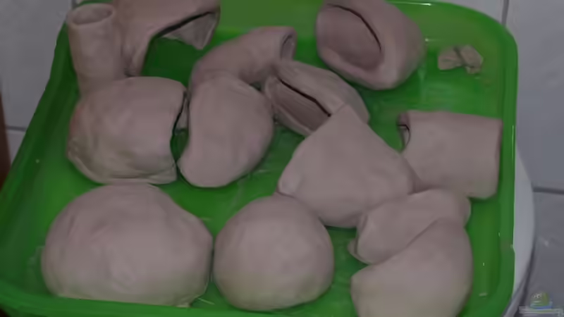 Die Tonhöhlen sind fertig zum brennen von Meike_R (23)