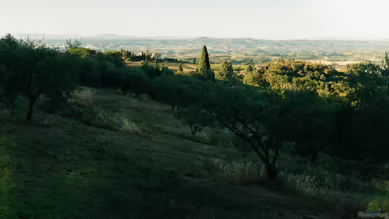 Die Toskana für Garten- und Naturliebhaber - Ein Paradies aus Olivenhainen, Weinbergen und mediterranen Landschaften